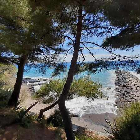 צ'רבו Appartamento Nel Borgo Con Splendida Vista Sul Mare מראה חיצוני תמונה